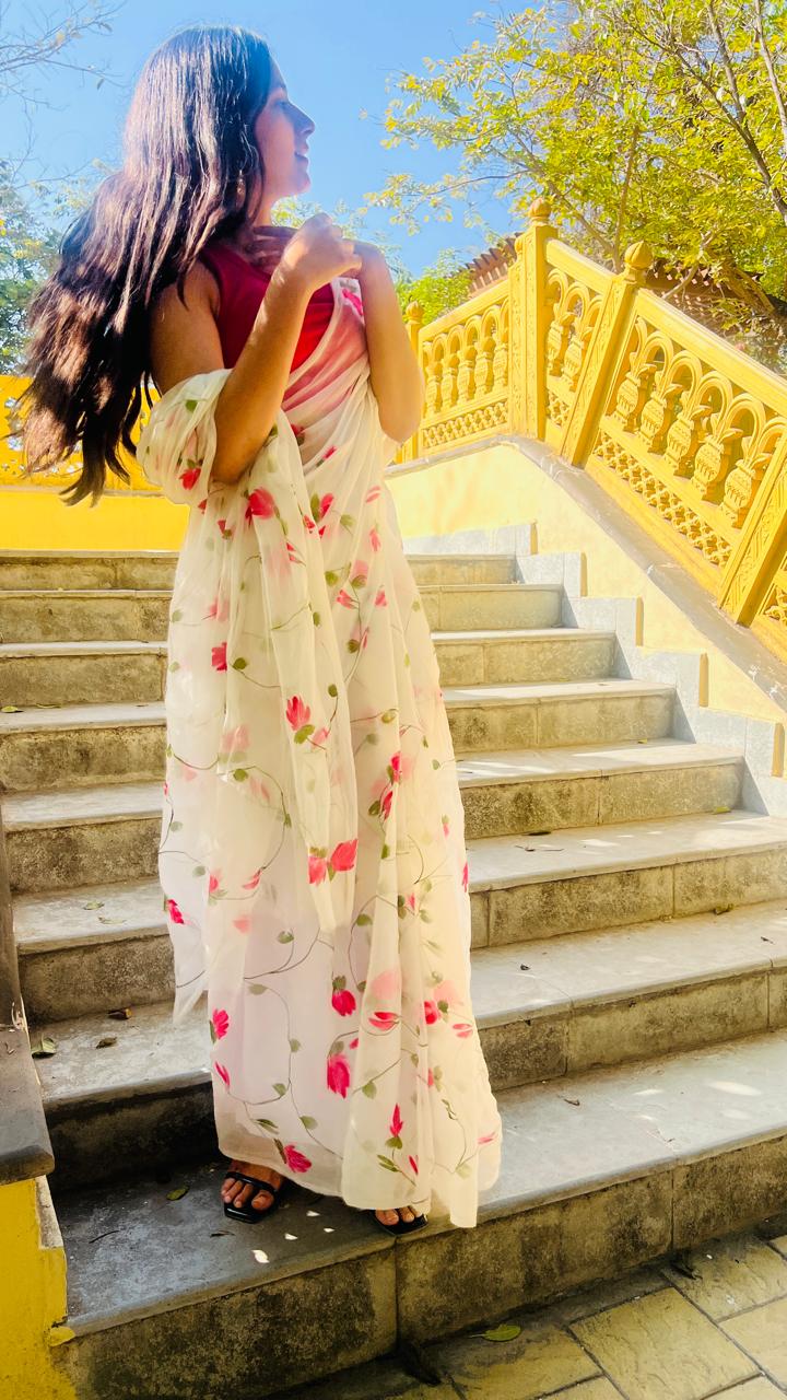 PAALKI HANDPAINTED SAREE
